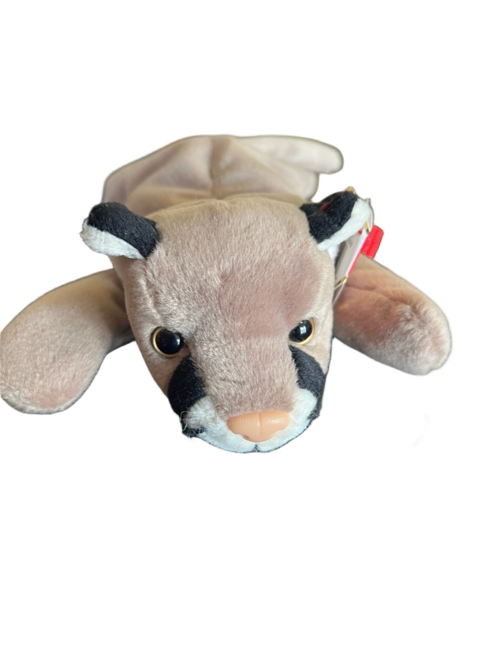 1998 Ty Beanie Baby Canyon May 29,1998 - Picture 1 of 5